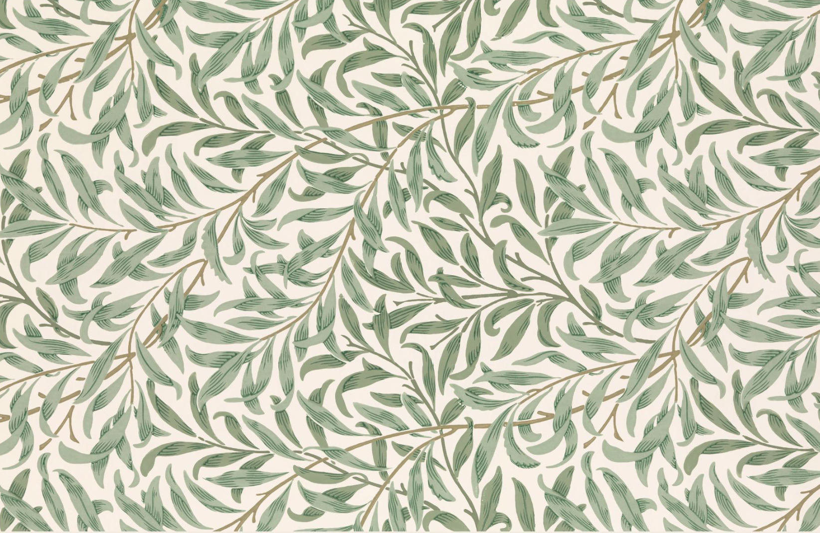 Antonio Gragnani, Violin Maker - Ruschil London